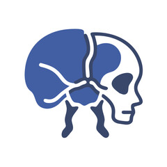  Occipital Bone Structure Anatomy Icon