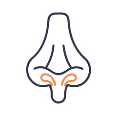  Modern Olfactory Bulb Anatomy Icon