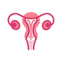  Modern Ovary Anatomy Icon