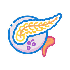  Pancreas Anatomy Icon Design