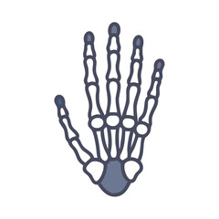 Fototapeta premium Phalanges Bone Anatomy Icon