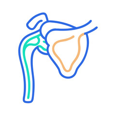  Modern Shoulder Joint Anatomy Icon