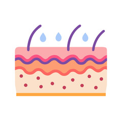  Skin Anatomy Icon Design