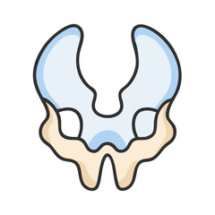  Sphenoid Bone Anatomy Icon Design