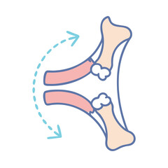  Modern Styloid Process Radius Anatomy Icon