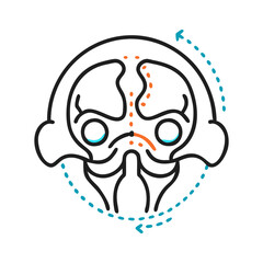  Creative Temporal Bones Anatomy Icon