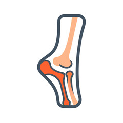  Distinct Tibia Anatomy Icon