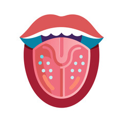  Tongue Anatomy Icon Design