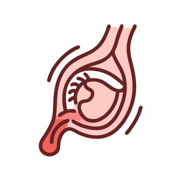 Creative Trochlea Anatomy Icon