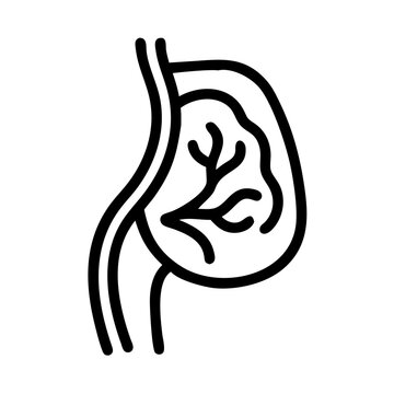  Trochlea Anatomy Icon Design