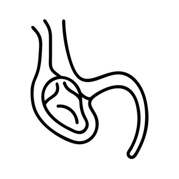  Stylish Trochlea Anatomy Icon