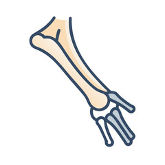  Unique Ulna Bone Anatomy Icon