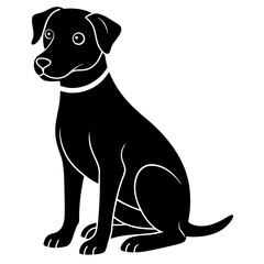 Professional Dog Sitting Services – Trusted Pet Care Near You