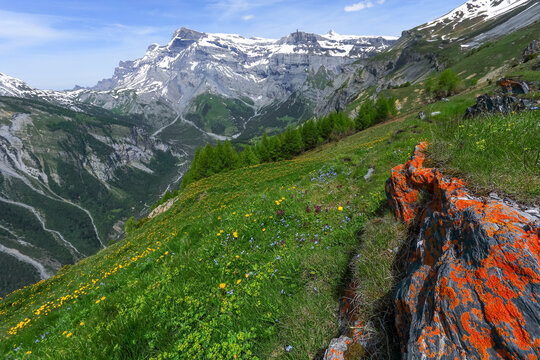 Les alpages de Conthey en direction de Derborence.