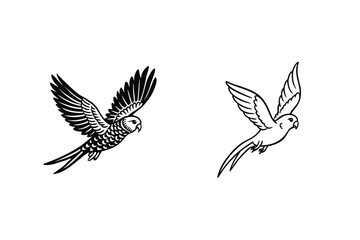 Two Parrot Illustrations Vector Flying Bird Design Tropical Wildlife Concept