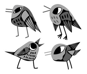 Collection of vector birds. Nature Illustration with cute black and white animals