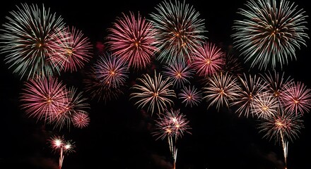 Fototapeta premium Night Bloom Ephemeral Symphony Celestial Dance Painted Darkness Starburst Serenade Fireworks Fantasia Nocturne of Light Transient Glory Cosmic Canvas Rainbow Explosions AI Generated