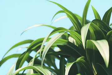 Lush green foliage against a light blue sky