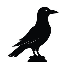 Rook Silhouette Vector Art Design and Black And White Rook Bird Vector Illustration