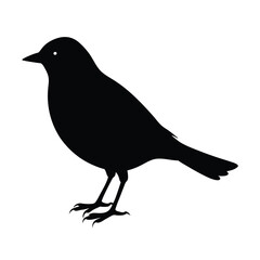 Rosella Silhouette Vector Art Design, Black And White Rosella Bird Vector Illustration
