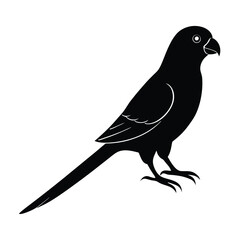 Rosella Silhouette Vector Art Design, Black And White Rosella Bird Vector Illustration