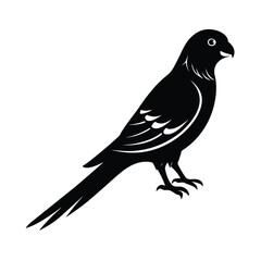 Rosella Silhouette Vector Art Design, Black And White Rosella Bird Vector Illustration