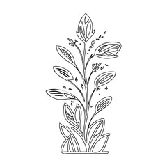 Botanical Outline Art: Elegant Plant Illustration