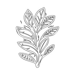 Elegant Botanical Line Art Illustration Element