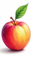 Whole peach with leaf, watercolor style Summer food illustration , vibrant, nature