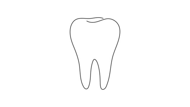 Animated outline icon. Healthcare body part collection. Teeth bone symbol. Black color on white background with alpha channel. Simple reveal and disappear animation.