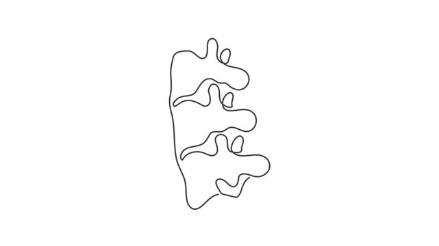 Animated outline icon. Healthcare body part collection. Bones symbol. Black color on white background with alpha channel. Simple reveal and disappear animation.