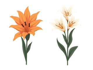 Flower clipart artwork vibrant garden nature elements decorative floral design close-up view,isolated,transparent background,cut out