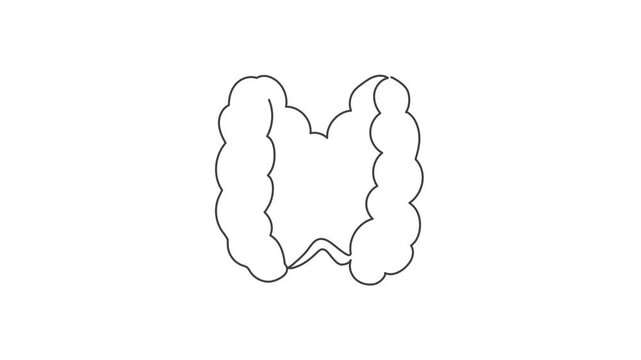 Animated outline icon. Healthcare body part collection. Thyroid endocrine inner organ symbol. Black color on white background with alpha channel. Simple reveal and disappear animation.