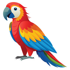 Macaw isolated on white background