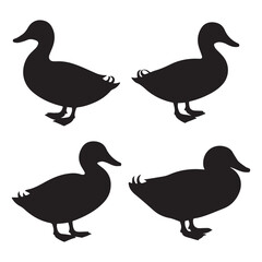 duck Vector Black silhouettes. with white background