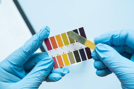 Gloved hands holding ph test strips on light blue background. Alkaline pH environment.