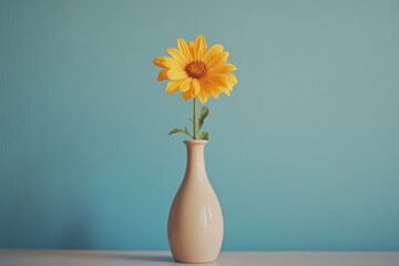 Single yellow flower in a cream vase against a teal background