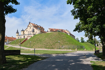 Nesvizh, Minsk region, Belarus - August 09, 2024: Historical, palace and castle complex. Sprawling willow on the lake in the park in a Nesvizh, Belarus.