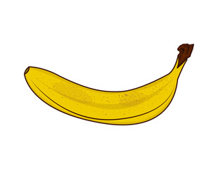 Yellow fresh banana isolated single design