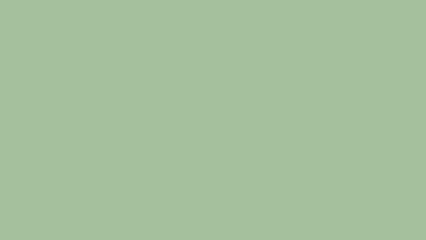 Muted sage green solid color background (1)