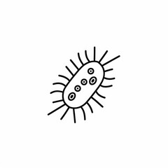 Simple illustration of a bacterium.  A stylized, outlined drawing of a bacterial cell, showing its characteristic shape,  flagella, and internal structures
