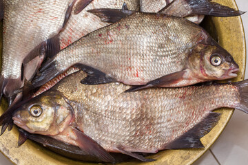 River fish bream. Photo close-up.