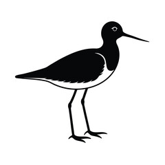 Sandpiper Silhouette Vector Art – Black and White Bird Illustration for Designers