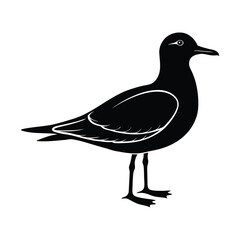 Seagull Silhouette Vector Art and Black And White Seagull Bird Vector Illustration