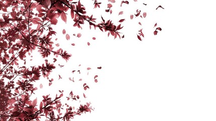 Draw me a pink cherry blossom branch with petals falling