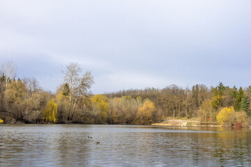 Spring landscape near the lake