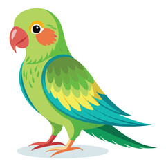 Parakeet isolated on white background