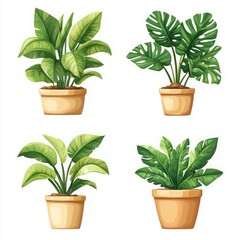 Fototapeta premium Collection of Green Houseplants in Decorative Pots for Home Interior Decoration and Natural Aesthetics