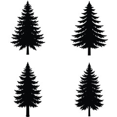 Obraz premium Evergreen vector set of winter fir and pine trees for holiday illustration