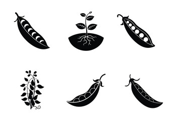 vector set of vegetables on white background